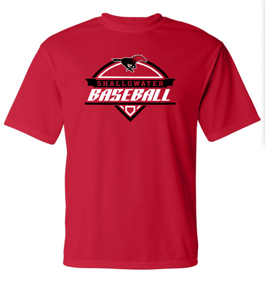 SHALLOWATER BASEBALL